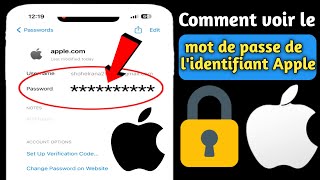 Comment voir le mot de passe de votre identifiant Apple sur iPhone 2024 [upl. by Mccowyn621]