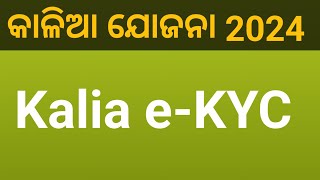 Kalia Yojana Kyc New Update  Complete Your eKYC  Kalia  Kalia Yojana Ekyc  eKYC Kalia Yojana [upl. by Ymmac]