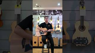 Taylor 110E niềm mơ ước của nhiều guitarist [upl. by Aserehtairam]