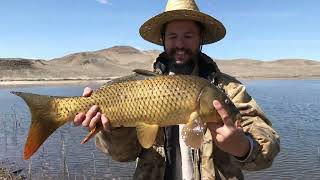 Fun day fishing at Lahontan Reservoir [upl. by Suellen188]