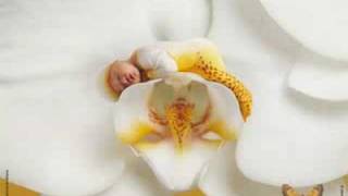 Anne Geddes [upl. by Doraj218]