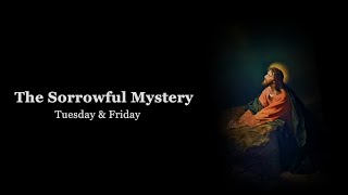 The Holy Rosary Sorrowful Mysteries with Litany Tuesday amp Friday [upl. by Ellives477]