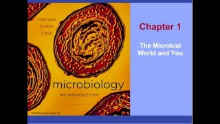 Microbiology Chapter 1 Part 1 of 2 [upl. by Daraj]