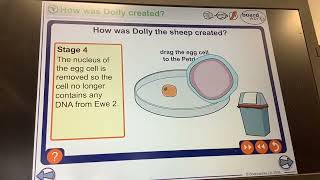 KS4GCSEBiologyDolly the sheep and fusion cell cloning [upl. by Fairman]