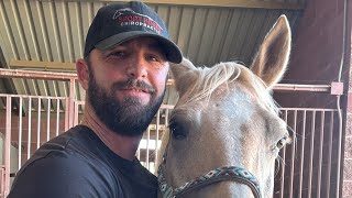 Sport Horse Chiropractic Dr Mike Adney is live [upl. by Jung]