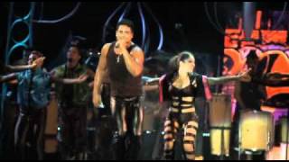 Harmonia do Samba  Swing Sangue Bom  Dvd Selo de Qualidade Ao Vivo [upl. by Aivalf841]