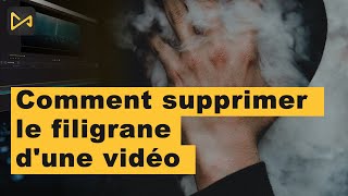 Supprimer le filigrane dune vidéo  3 façons simples  TunesKit AceMovi [upl. by Traci]