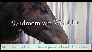 Syndroom van Wobbler [upl. by Ddat]