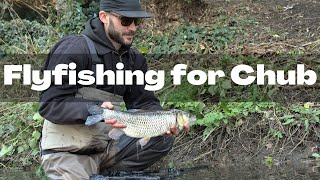 Chub on the fly  a different approach to streamer fishing [upl. by Bolme]