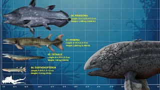 The 10 Largest Prehistoric Fishes [upl. by Ohaus]