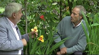 STÉPHANE MARIE VOUS PRÉSENTE SES PLANTES PRÉFÉRÉES DE SON JARDIN [upl. by Ayita]