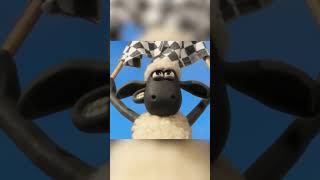 🐑 Velocino da Fúria  Caos de Fundo Musgoso shaunthesheep shaunthesheep carneiro cartoon [upl. by Reffotsirk]