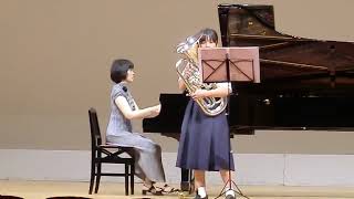 Euphonium Concerto mov1 JHorovitz [upl. by Anirroc]