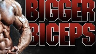 How To Build Bigger Biceps with the Athlean X Biceps Blast [upl. by Sinoda]