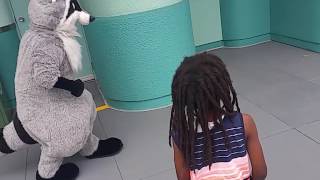 Daphne plays Hide and Seek with Meeko at Hollywood Studios [upl. by Salene]