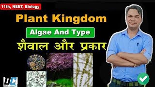 11 BIOLOGY CH 3 PLANT KINGDOM TYPE OF ALGAE शैवाल का वर्गीकरण om sir [upl. by Giustina]