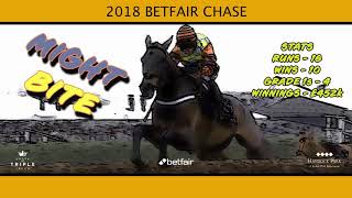 Haydock Park Betfair Chase  The Rematch [upl. by Yvonne485]