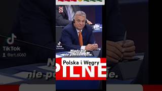 Polska I Węgry polska dlaciebie viralshort dc lovestory short [upl. by Ivah]