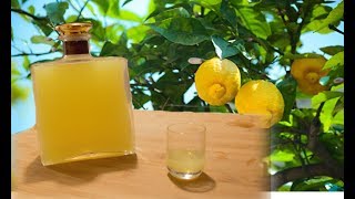 Homemade Limoncello  Italian lemon liqueur recipe [upl. by Libyc]