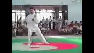 Chen Liqing and Chen Yongfu Taijiquan [upl. by Alwin]