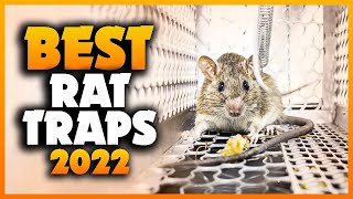 Top 5 Best Rat Traps You can Buy Right Now 2023 [upl. by Einiffit40]