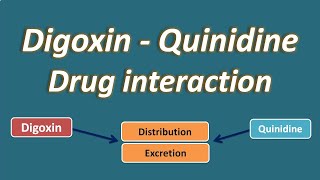 Digoxin and Quinidine drug interaction [upl. by Vaclav]