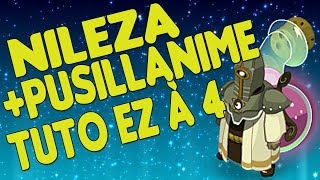 Dofus Tuto Nileza  Succès Pusillanime à 4 [upl. by Layman]