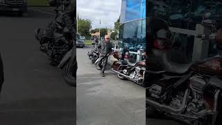 Amazing Range Of HarleyDavidsons At Auckland Dealership Event [upl. by Marra]