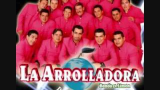 tu nuevo cariñito la arrolladora [upl. by Sesilu174]