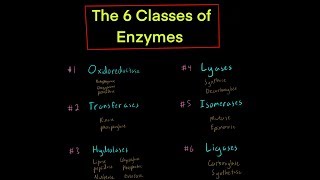 The 6 Classes of Enzymes w Mechanisms oxidoreductase transferase hydrolase lyase isomerase ligase [upl. by Droffats]