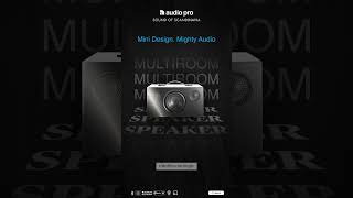 Multiroom Audio  Mini Design Mighty Audio [upl. by Nallaf]