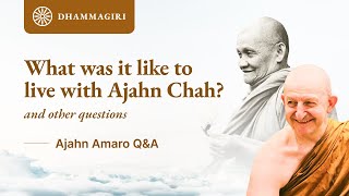 Ajahn Amaro QampA What was it like to live with Ajahn Chah Is it difficult to be a buddhist monk [upl. by Lindon133]