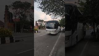 KLAKSON KAPAL BUS DAMRI bus telolet fyp shorts shortvideo tiktok [upl. by Ralf]