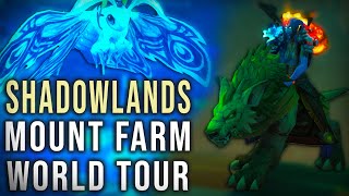 WoW Mount Farm World Tour  Shadowlands  MaldraxxusArdenweald [upl. by Kermy]