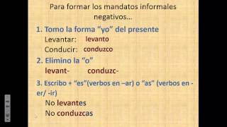 Chapter 2 Los mandatos formales y informales [upl. by Docilla]