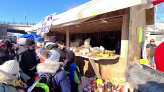 Canada Makeshift restaurant built amidst downtown freedom convoy protest 252022 [upl. by Ronyar440]