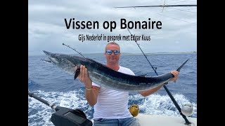 Vissen op Bonaire [upl. by Otrebliw]