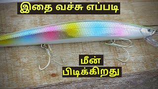 Lure Fishing in Tamil  Plastic and Jig Lure basics  How to  லூர்ஸ் வைத்து எப்படி மீன் பிடிப்பது [upl. by Emelda]