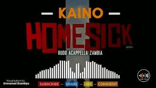 Kaino  Rudo Acappella Zambia Visualization [upl. by Imehon]