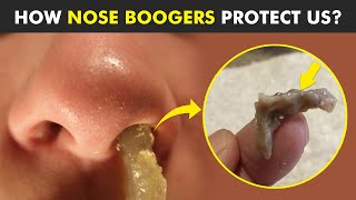 Why Do We Have Boogers in nose Nose Boogers Exposed [upl. by Gabriello]