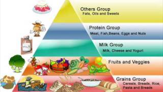 Healthy Food Club Food Pyramid [upl. by Sigismond466]