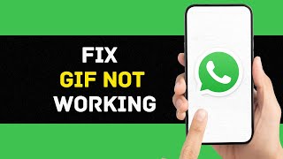 How to Fix Whatsapp Gif Not Working  Enable GIFs on WhatsApp 2024 [upl. by Sybil]