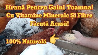 Hrană 100 Naturală Cu Vitamine Minerale Și Fibre Pentru Gaini Și Păsări Făcută Acasă Toamna [upl. by Rego]