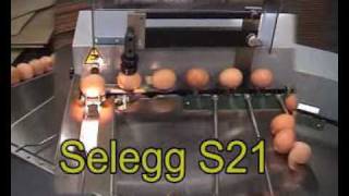 Egg coding EggFlex HeDiPack on a Riva Selegg S21 grader [upl. by Atalayah661]