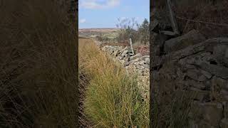 Darwen Moor travel punkatit lancashire darwen darwenmoor nature moor [upl. by Lynnette540]