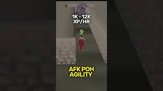 AFK Agility Methods OSRS [upl. by Martijn]