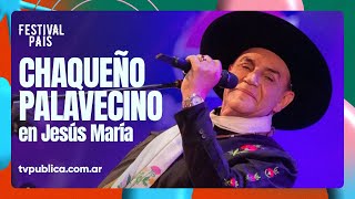 El Chaqueño Palavecino en Jesús María  Festival País 2024 [upl. by Atteynek]