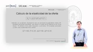 Microeconomía I  La elasticidad de la oferta y de la demanda 6  Alfonso Rosa [upl. by Christiane]