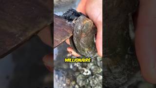 This Oyster Makes Millionaire 🤯 [upl. by Mick]