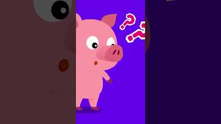 Colorful Animal Poo  Fun Animal Song  babysong nurseryrhymes tidikids [upl. by Rannug]